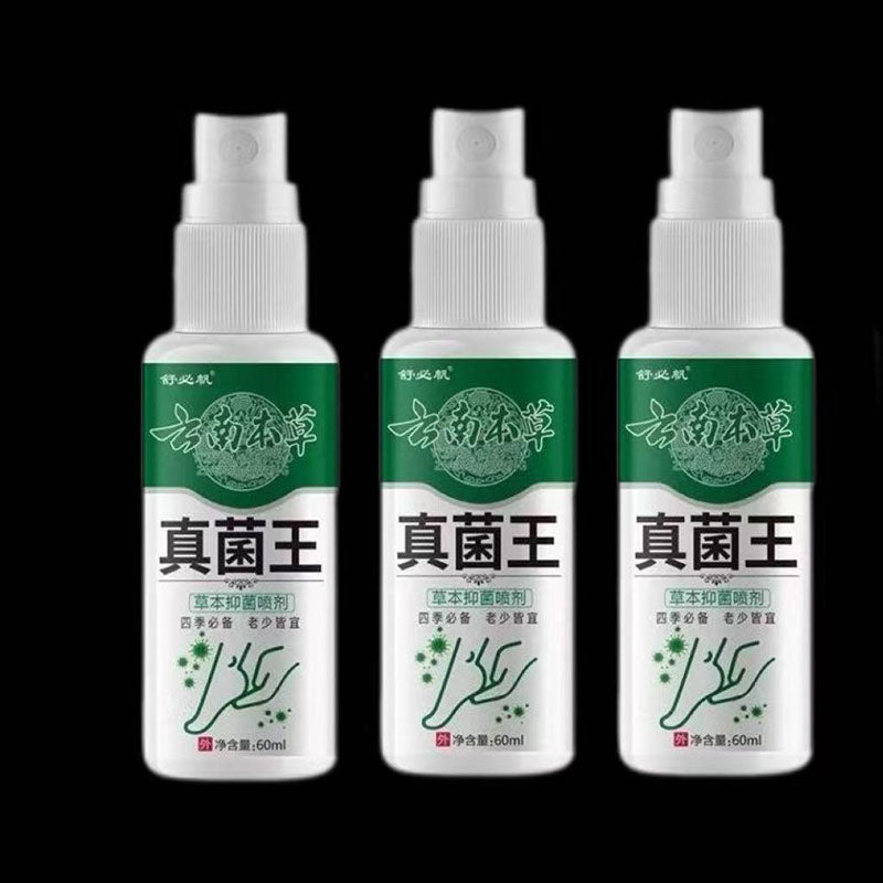 真菌王